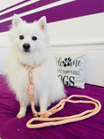 Bild in Galerie-Betrachter laden, Hundehalsband & Hundeleine BEIGE SKIN