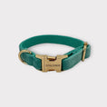 Bild in Galerie-Betrachter laden, Hundehalsband GRÜN TÜRKIS