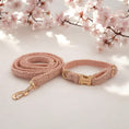Bild in Galerie-Betrachter laden, Hundehalsband & Hundeleine ROSA SHEEP