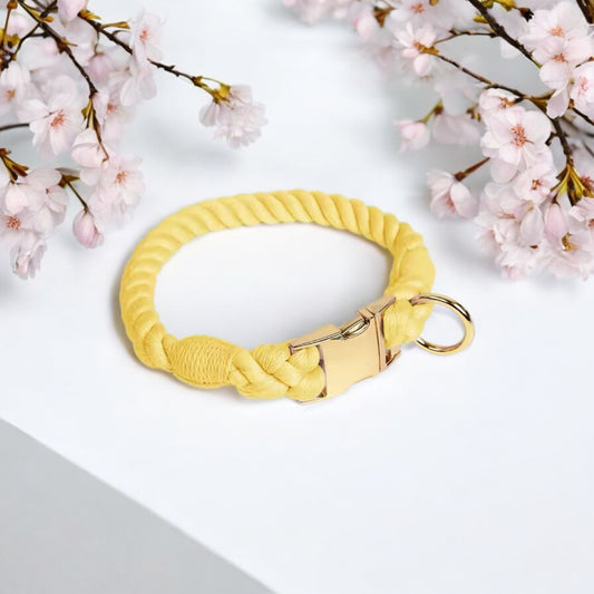 Hundehalsband GELB FLOWER