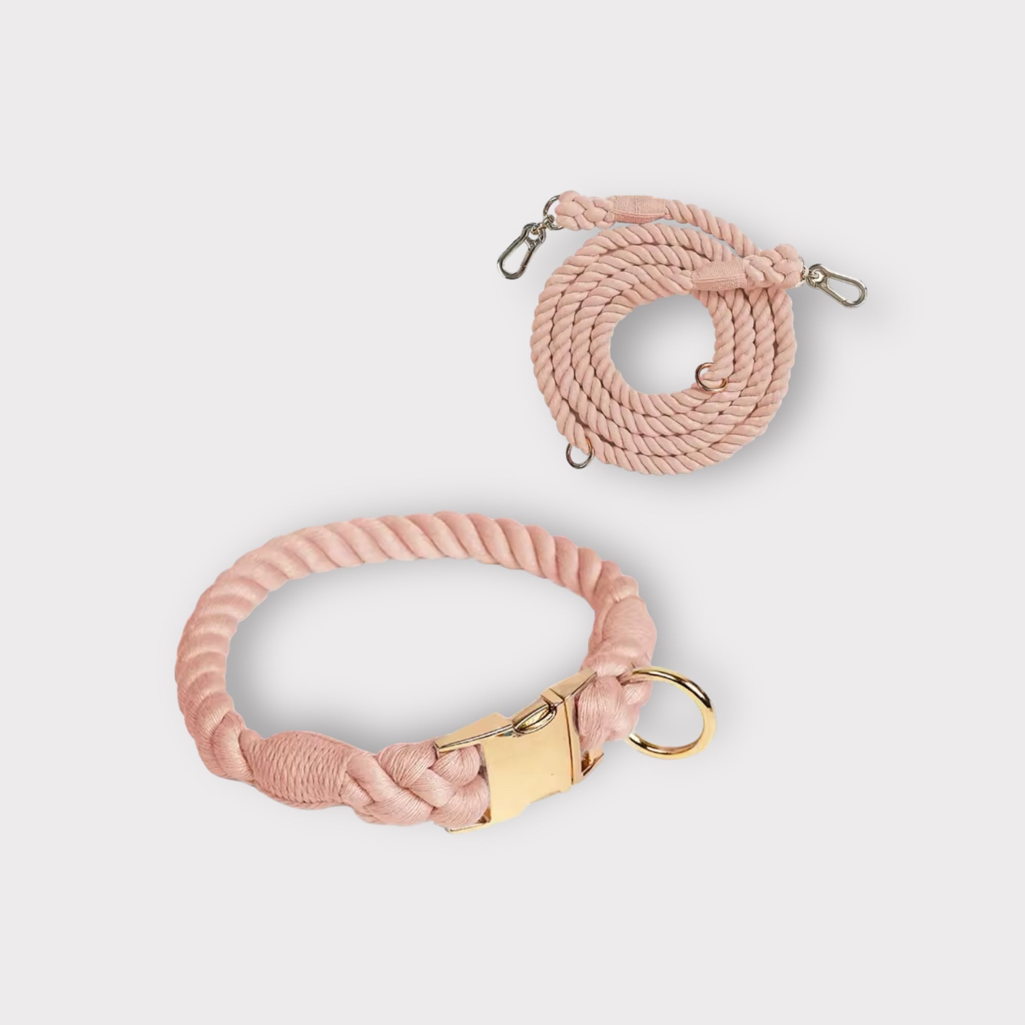 Hundehalsband & Hundeleine BEIGE SKIN