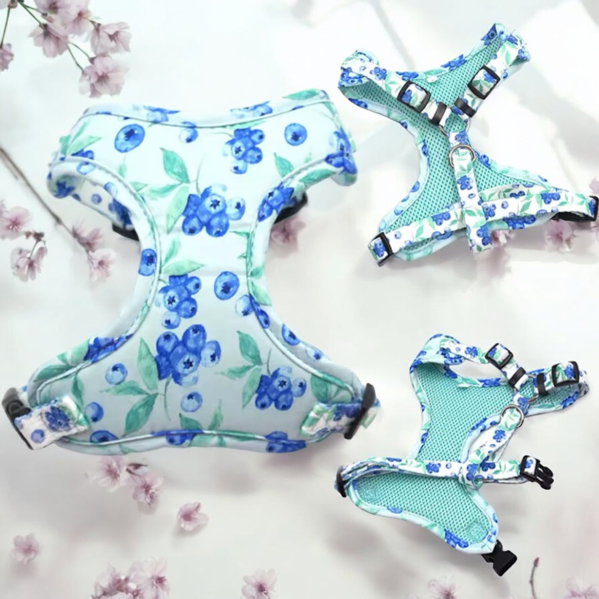 Hundegeschirr BLUEBERRY